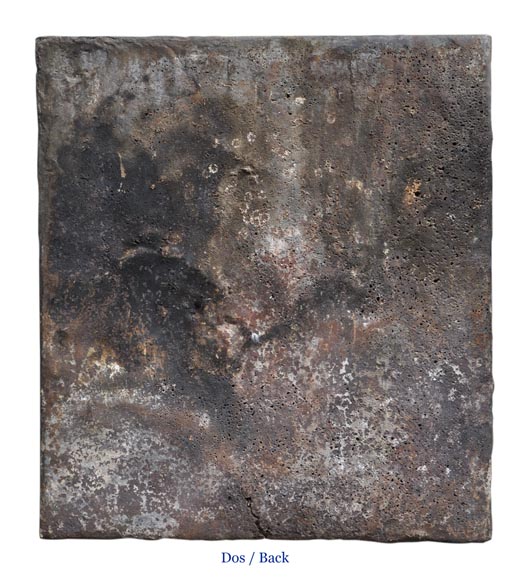 Великолепная каминная плита, украшенная гербами Жана Буэ де Савини, первой половины 18 века.-9